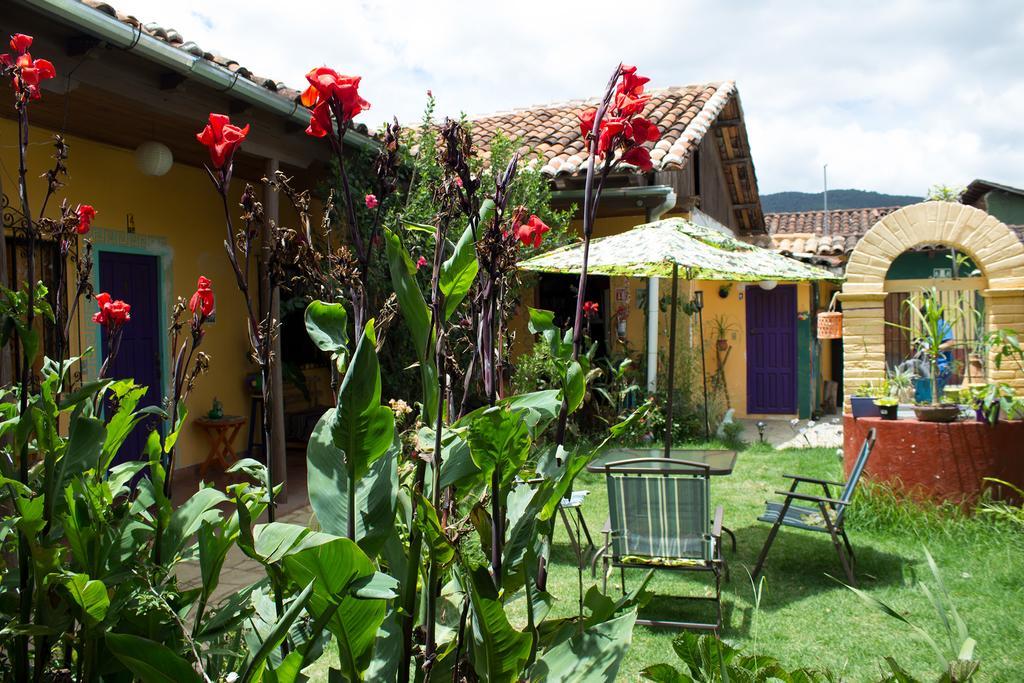 Jaguar You Bed and Breakfast San Cristóbal de Las Casas Exteriör bild