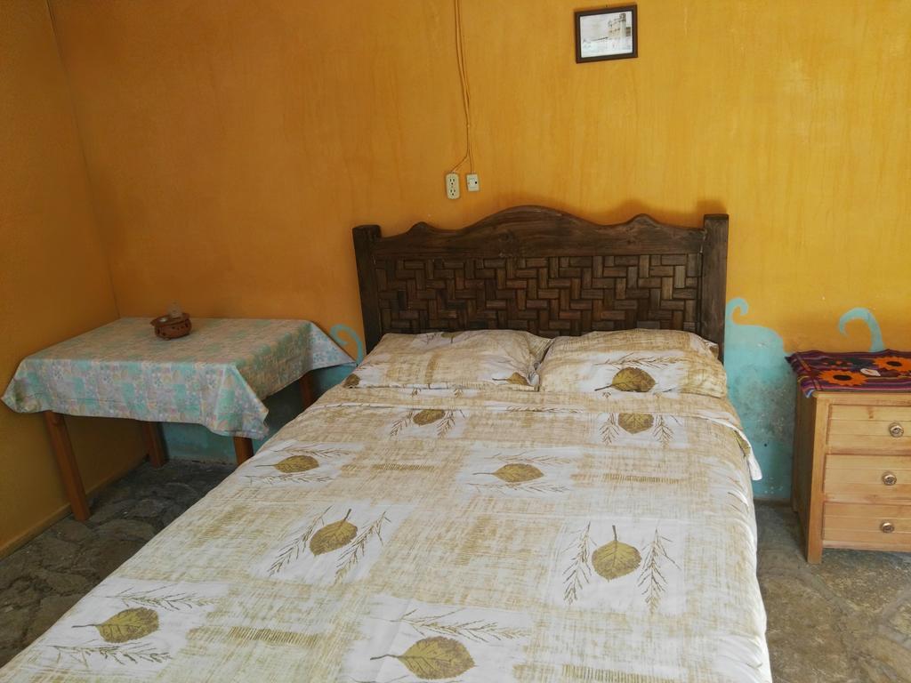 Jaguar You Bed and Breakfast San Cristóbal de Las Casas Exteriör bild